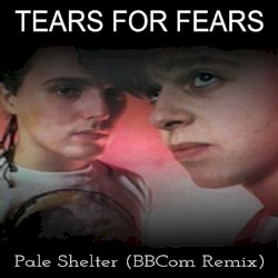 Pale Shelter (Blinky Blinky Computerband remix)