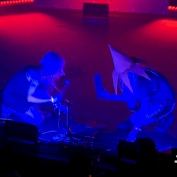 live at terminal 5