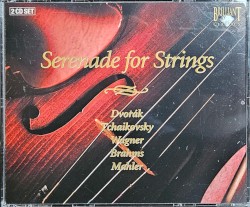 Serenade for Strings