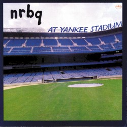 At Yankee Stadium