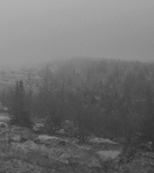 Vintlechkeit / Wintaar