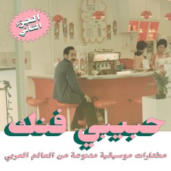Habibi Funk: An Eclectic Selection of Music From the Arab World, Part 2