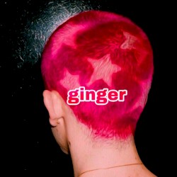ginger
