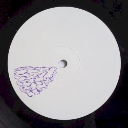 The Dolphins Are Back In Venice