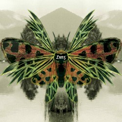 Lunz Reinterpretations