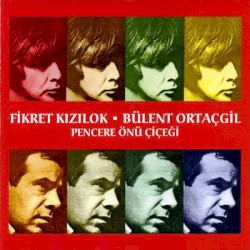 Pencere Önü Çiçeği