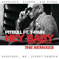 Hey Baby (Drop It to the Floor) - The Remixes