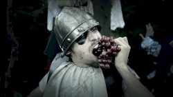 Bonaparte Groupees Bundle