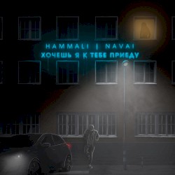 Хочешь, я к тебе приеду