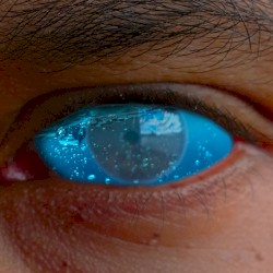 Everything Reminds Me of You (Cry Myself to Sleep)