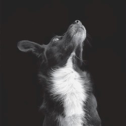 Catchpenny & Cosmos EP