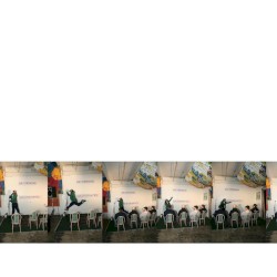 Triumphant Return to Obscurity