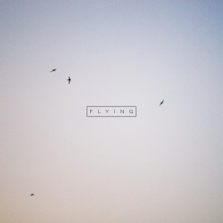 Flying