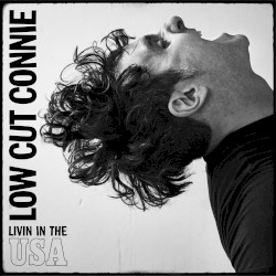 Livin' In The USA