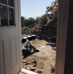 a moment in st louis and a moment at the beach