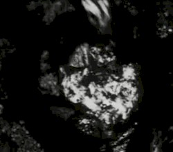 Begotten Chapter XII