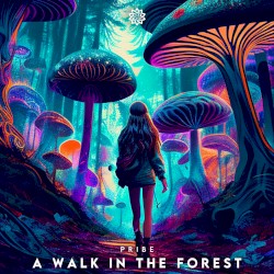 A Walk in the Forest