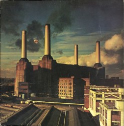 Animals