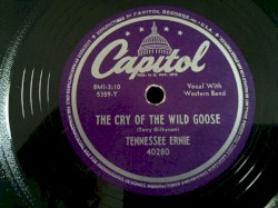 The Cry of the Wild Goose