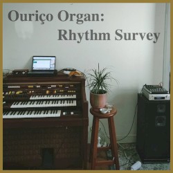 Ouriço Organ: Rhythm Survey