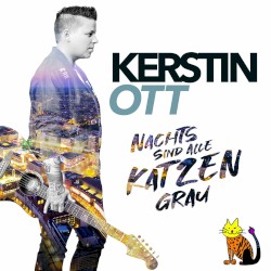 Nachts sind alle Katzen grau