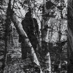 There Is Something Evil Out There.