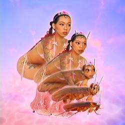 FROM FLORIDA’S FINEST