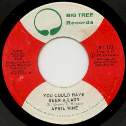 You Could Have Been a Lady