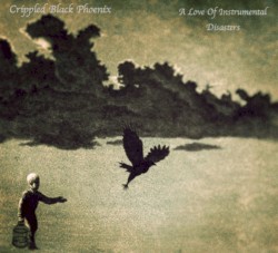 A Love of Shared Disasters