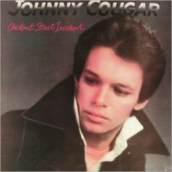 Chestnut Street Incident