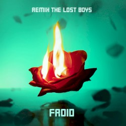 Froid (The Lost Boys Remix)
