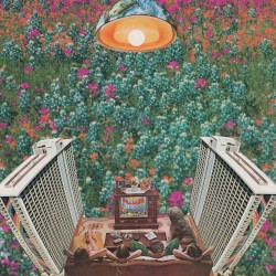 Flower Children's Children's Children