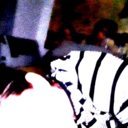 Full Moon & Acid Rain