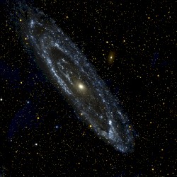 M31