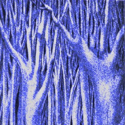 Gestations of the Orb