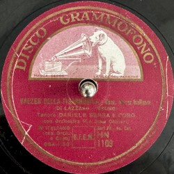 Valzer della fisarmonica / Paesanella