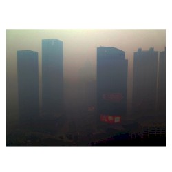 Extinction Process V