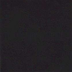 The Black Album / Come On Feel The Dandy Warhols