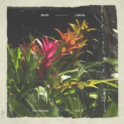 Lailonie (The Remixes: Part 2)