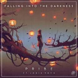 Falling Into the Darkness