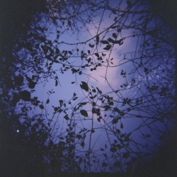 This Handsome English Disease