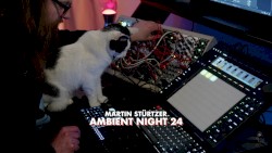 Ambient Night 24