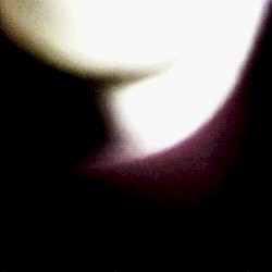 In Opposition to the Inevitable