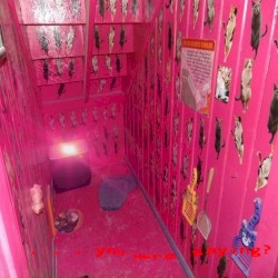 000000000000000000000000027