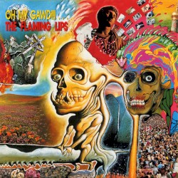 Oh My Gawd!!!… The Flaming Lips