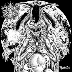 Matriarch