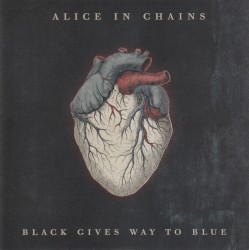 Black Gives Way to Blue