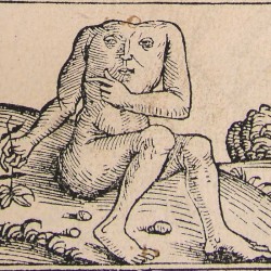 Dietary Underclass (rough mix)