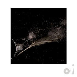 Put the Bucket Down (Bright‐Side mix)