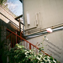 unattended mediocre examples